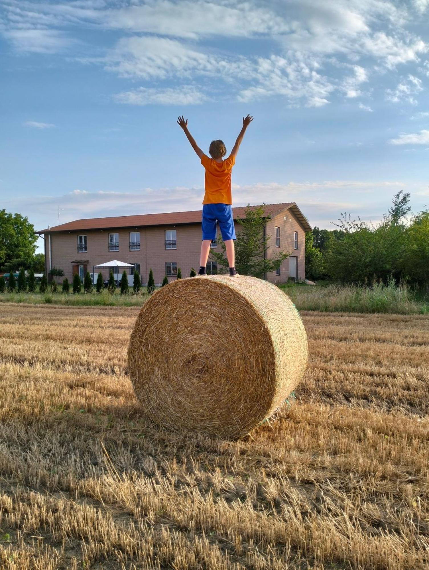 Agriturismo Campi Di Grano Roncade Eksteriør bilde
