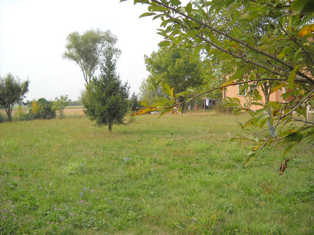 Agriturismo Campi Di Grano Roncade Eksteriør bilde